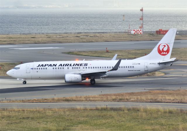 Boeing 737-800 (JA304J)