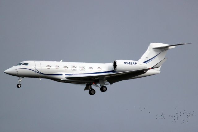 Gulfstream Aerospace Gulfstream G500 (N542AP) - Solairus Aviation G500 on short finals for rwy 24 on 28-Sep-21 arriving from EGJJ as TWY500.