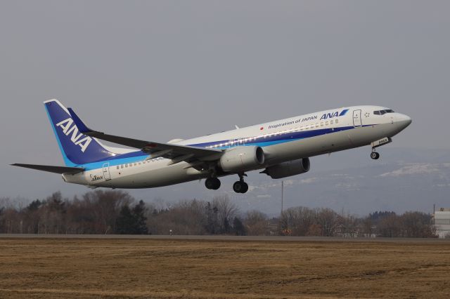 Boeing 737-800 (JA84AN) - March 4th 2019:HKD-HND.