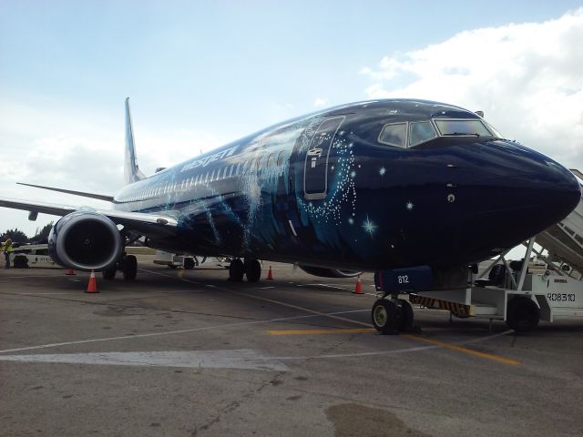 Boeing 737-800 (C-GWSZ) - WestJet Sorcerer Mickey landed at MUSC