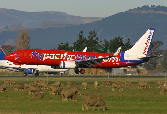 Boeing 737-800 (ZK-PBB) - Pacific Blue (DJ / PBN)