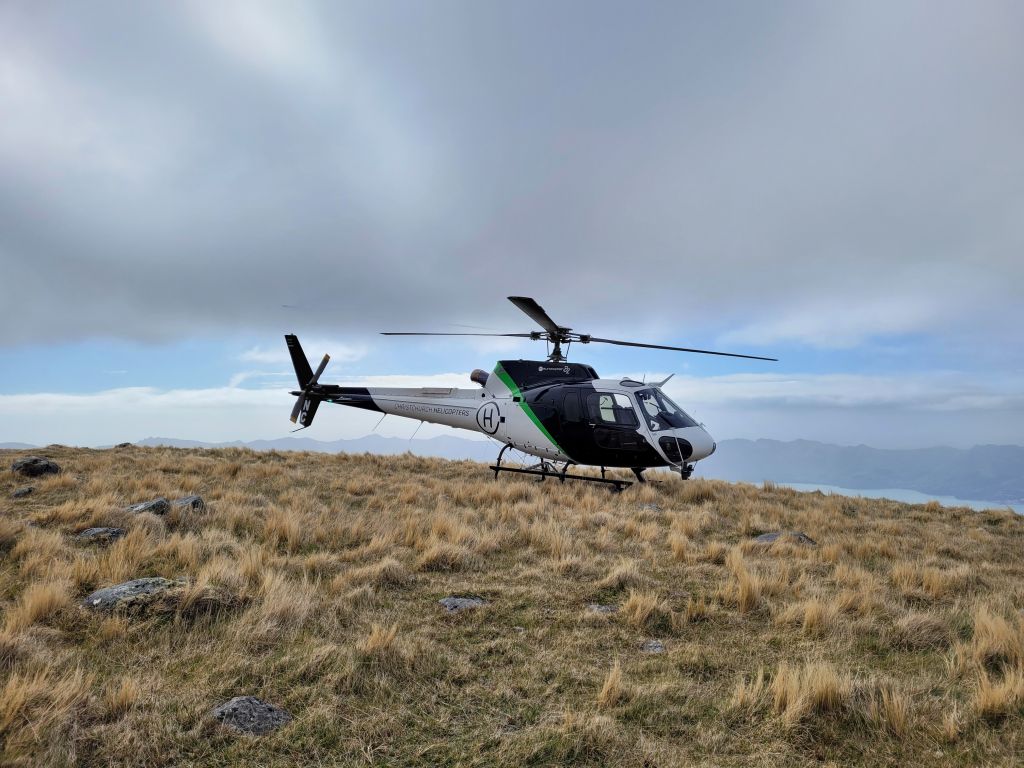 ZK-HNC — - On top of Mt. Herbet 920m/3018ft
