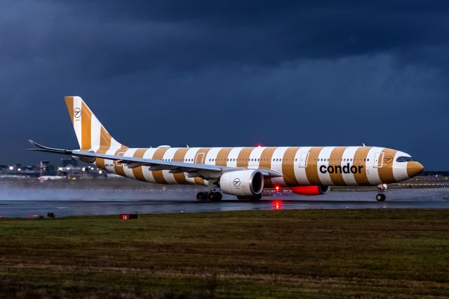 Airbus A330-900 (D-ANRJ)