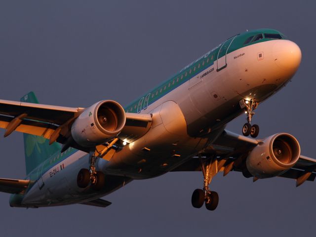 EI-DVJ — - Setting sun lights up this Aer Lingus A320-200.