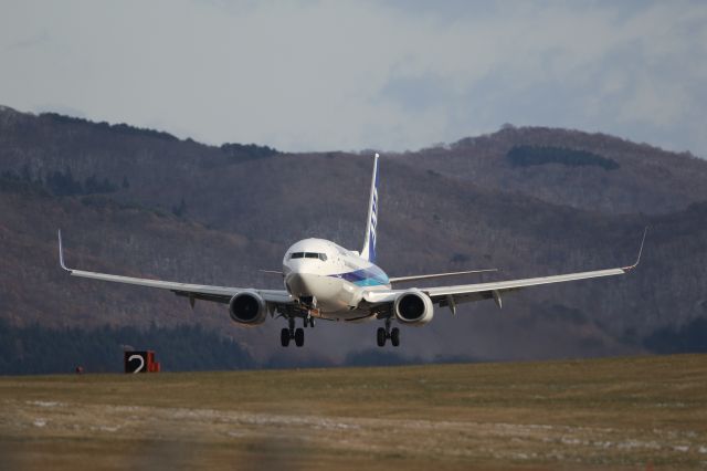 Boeing 737-800 (JA59AN) - December 2nd 2020:HND-HKD.