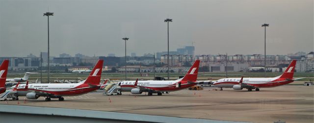 Boeing 737-800 (B-5460) - 6/28/18  B-5460, B-1451, B-1452 at Apron 4 hardstands, Hangqiao