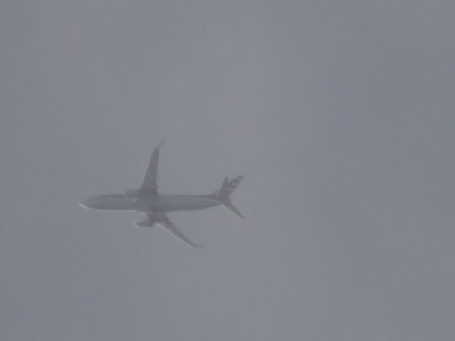 Boeing 737-800 (N352PS) - AAL2836br /JFK-LASbr /07/03/22