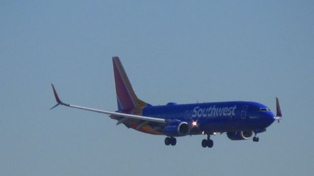 Boeing 737-800 (N8642E) - Hart One" landing as Southwest 214 from Tampa in the stunning new livery!