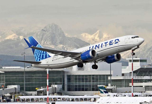 Boeing 737 MAX 8 (N17310)