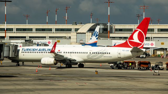 Boeing 737-900 (TC-JYF)