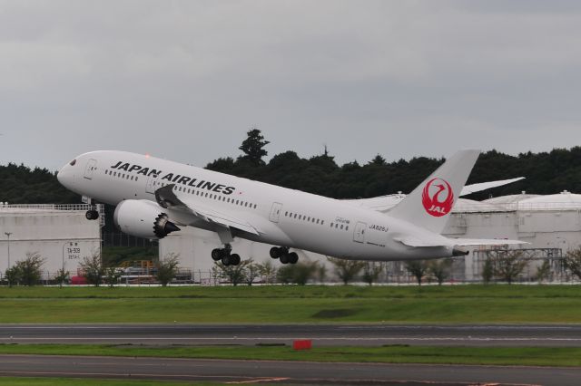 Boeing 787-8 (JA828J)