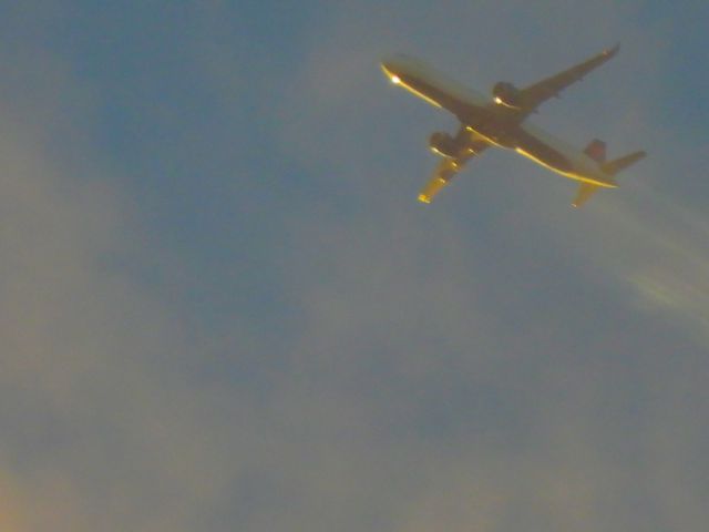 Airbus A321neo (N519DT) - DAL542br /SEA-ATLbr /11/12/2024