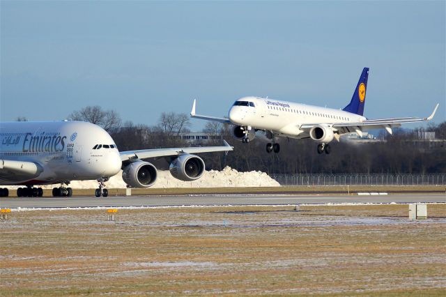 Airbus A380-800 (A6-EDF)