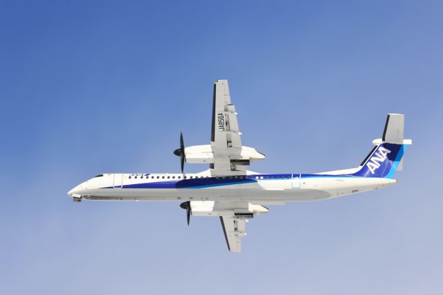 de Havilland Dash 8-400 (JA856A) - January 11th 2021:HKD-CTS.