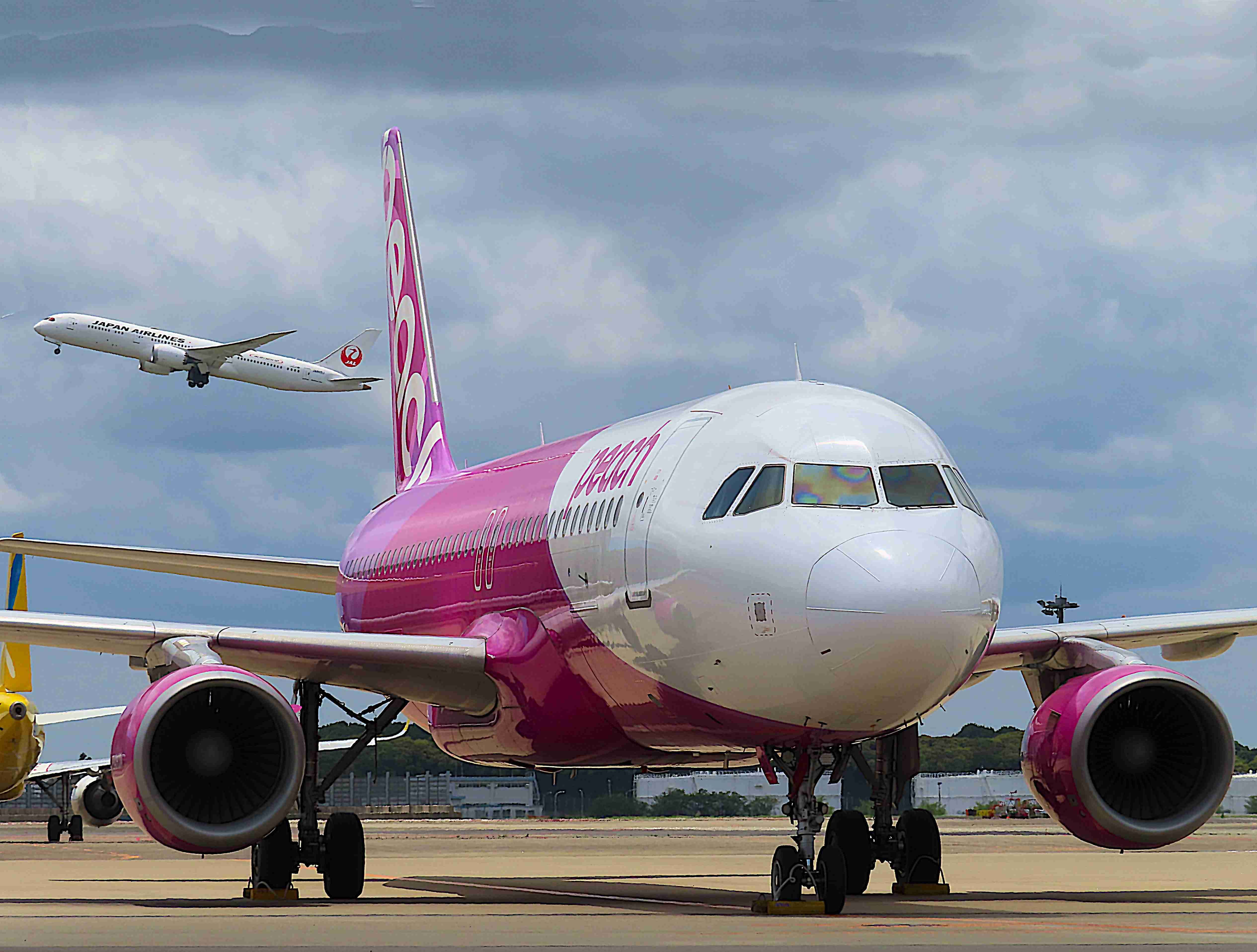 Airbus A320 (JA810P) - I took this picture on Jun 18, 2019.br /MM505/18Jun  NRT-OKA