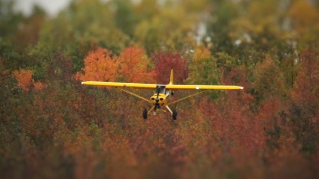 Piper L-21 Super Cub (N9PW) - CubCrafters CarbonCubEX