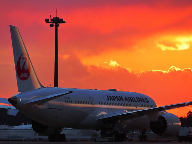Boeing 787-8 (JA844J) - I took this picture on Apr 02, 2019.br /JL774/02Apr MEL-NRT