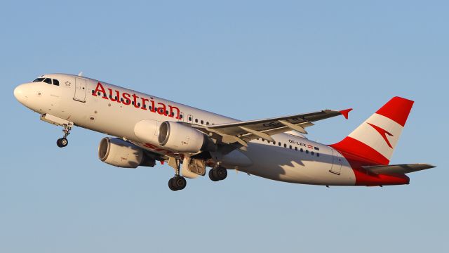 Airbus A320 (OE-LBX) - MUC Nov 1, 2024