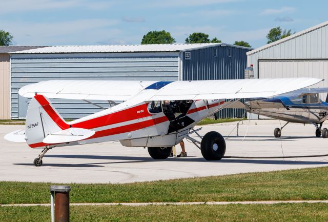 Piper L-21 Super Cub (N82667)