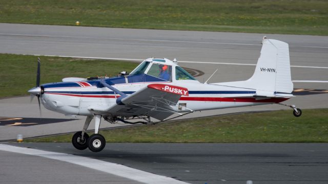 Cessna T188 AgHusky (VH-NYN) - Using as much runway as possible