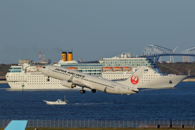 Boeing 737-800 (JA308J)