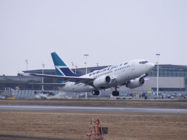 BOEING 737-600 (C-GWJU) - overcast day