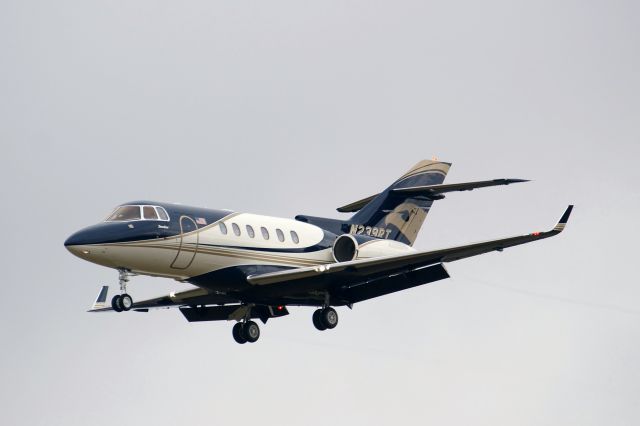 Hawker 800 (N239RT)