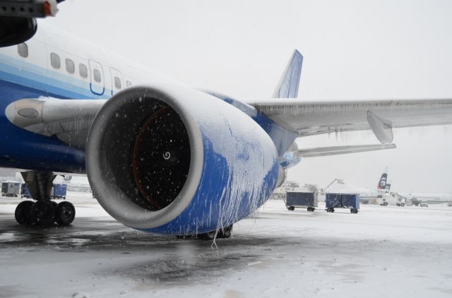 Boeing 757-200 (N515UA) - All Departures (for United, United Express, and Air Canada) cancelled. This aircraft was sporting the greatest need for de-icing.