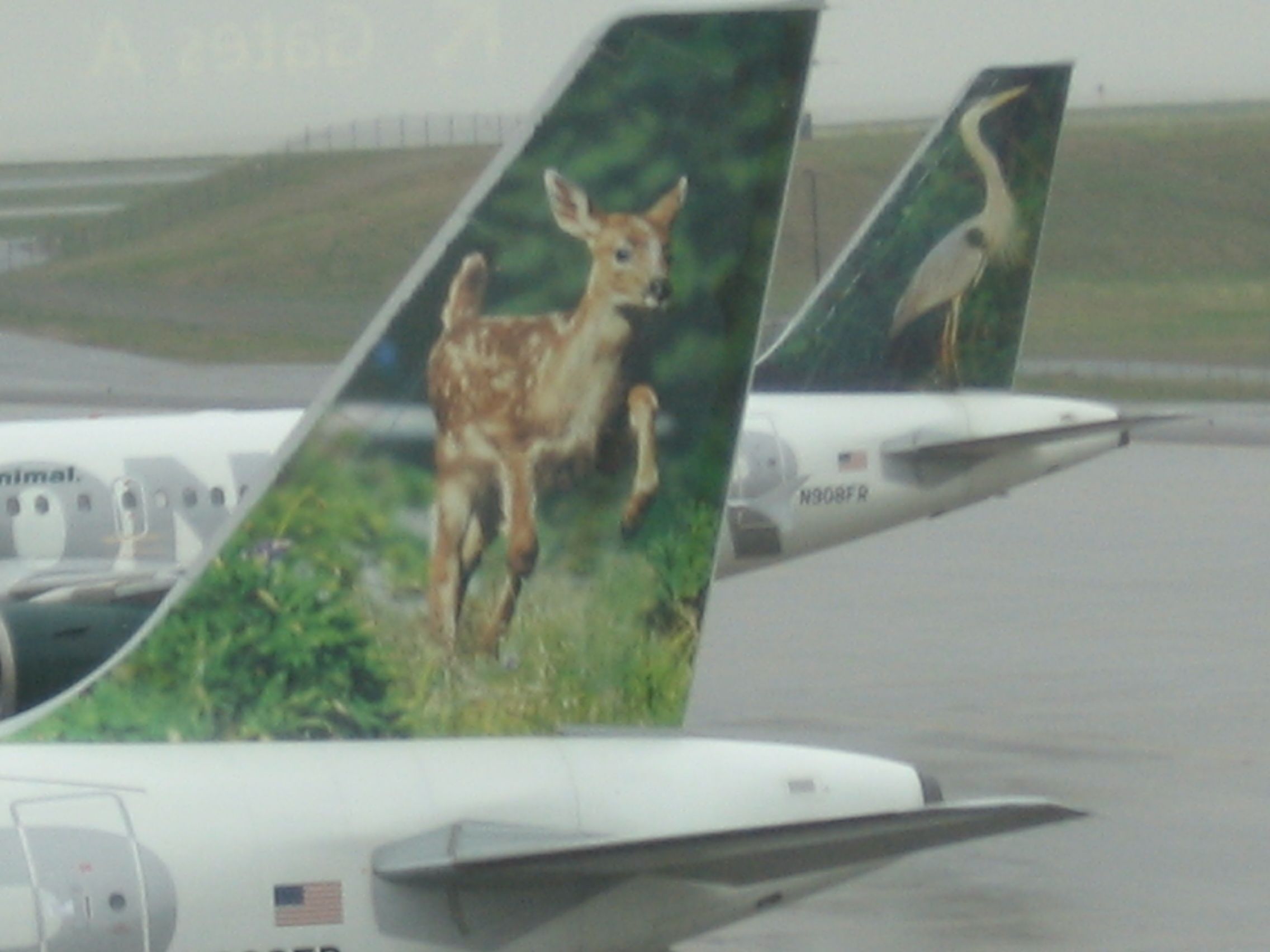 Airbus A319 (N908FR)