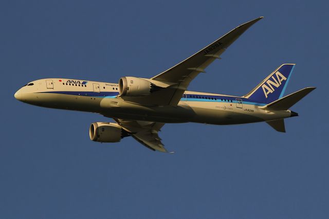 Boeing 787-8 (JA828A)