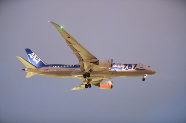 Boeing 787-8 (JA810A) - August 7th 2017:HND-HKD.