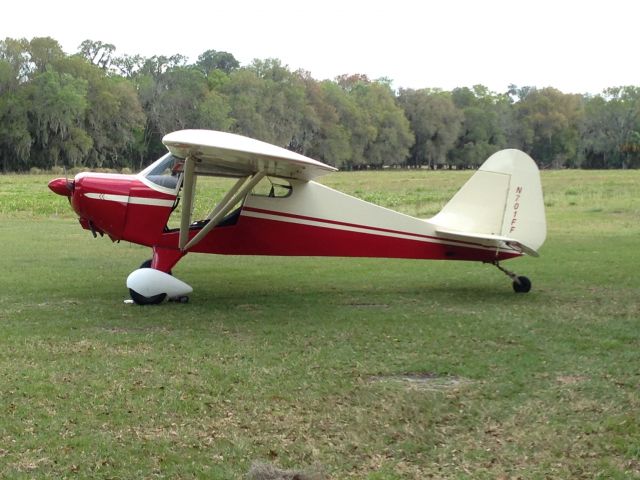 Piper PA-17 Vagabond Trainer (N701FF) - At 9FD2 near Plant City, Fl