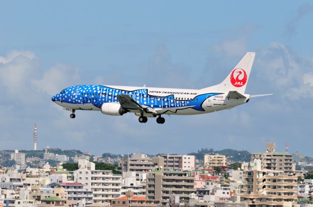 BOEING 737-400 (JA8939) - 2013/10/19