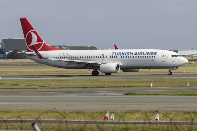 Boeing 737-700 (TC-JVO) - Right of Runway R22