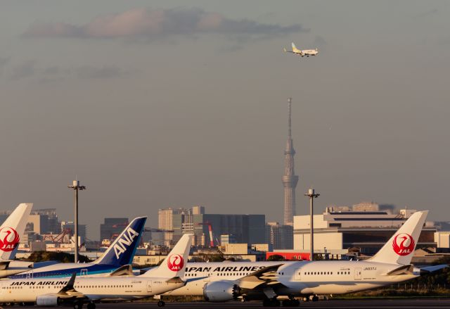 Boeing 787-8 (JA837J)