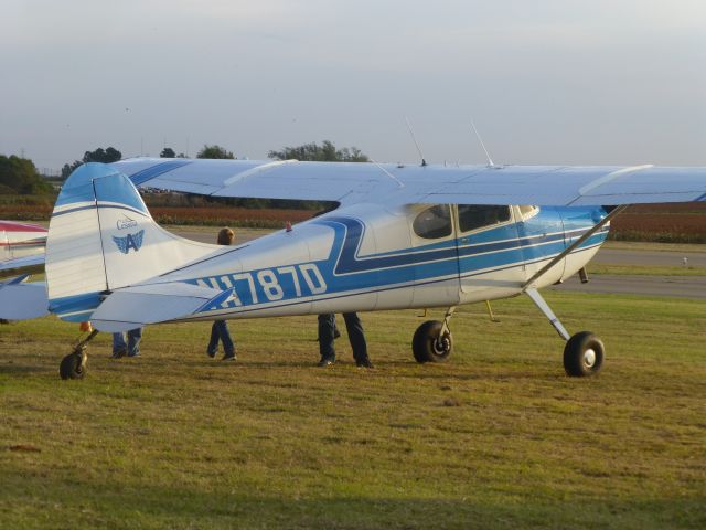 Cessna 170 (N1787D)