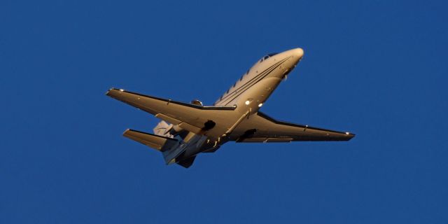 Cessna Citation Excel/XLS (N836JS) - phoenix sky harbor international airport 25JAN20