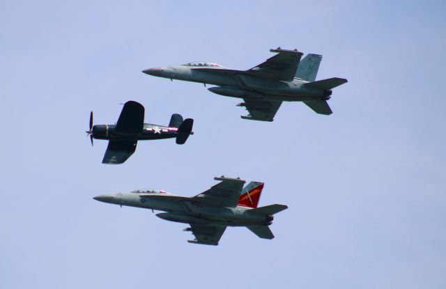 McDonnell Douglas FA-18 Hornet —