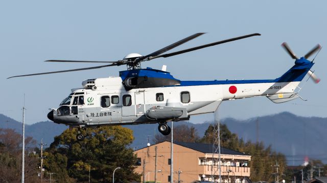 Eurocopter Super Puma (EC-225) (00-1021) - Reg. 01021