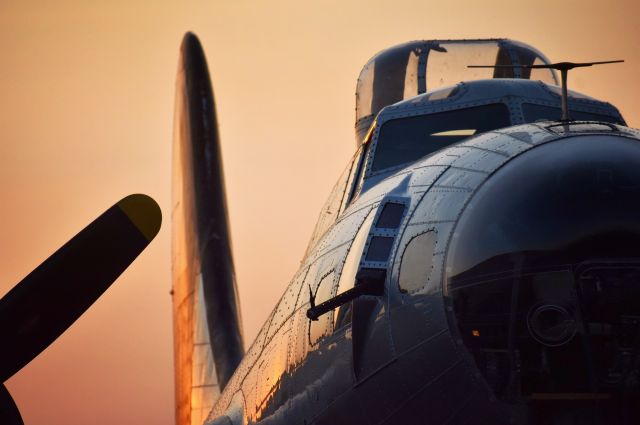 Boeing B-17 Flying Fortress (N5017N)