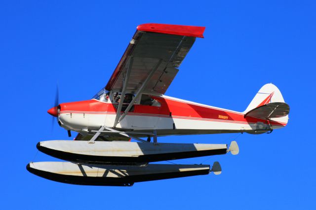 Piper PA-22 Tri-Pacer (N808PT)