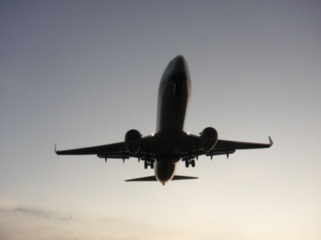 Boeing 737-800 (B-5385) - XIAMEN AIRLINES B737-800 B-5385 Landing at TSA