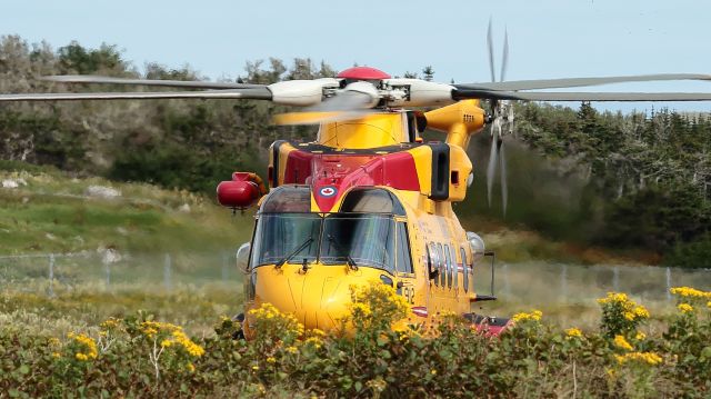 WESTLAND Merlin (14-9912)