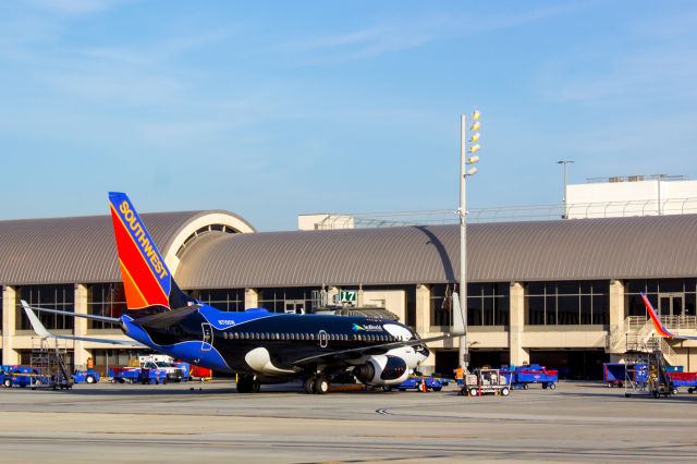 Boeing 737-700 — - Shamu at John Wayne! (KSNA)