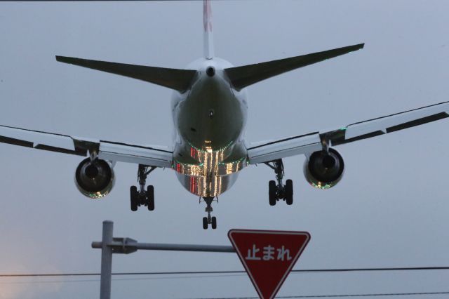 BOEING 767-300 (JA8980) - 12June 2015: HND-HKD.