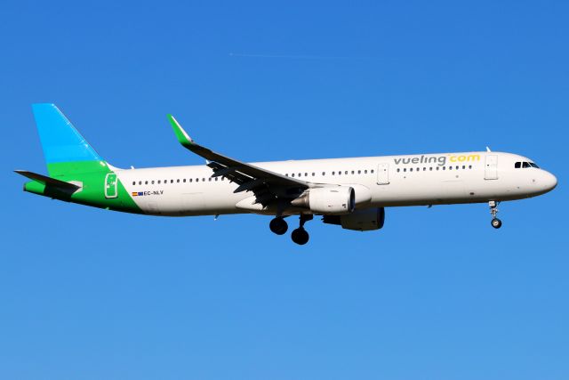 Airbus A321 (EC-NLV)