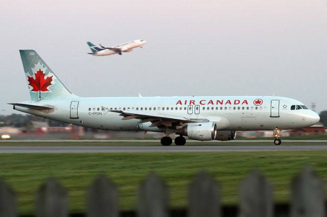 Airbus A320 (C-FPDN) - Evening arrivals on 24R