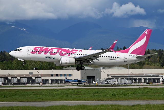 Boeing 737-800 (C-FLBV)