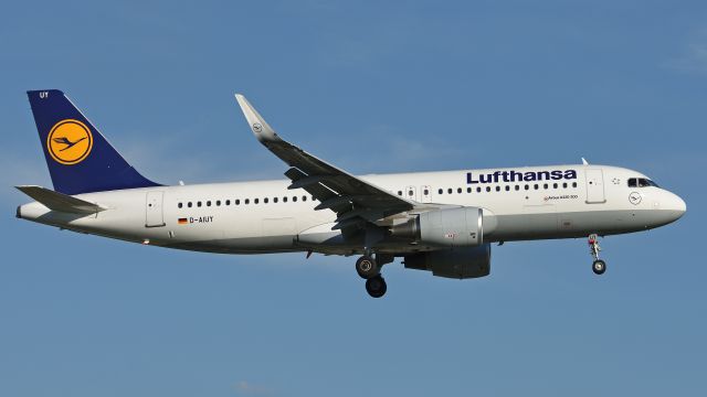 Airbus A320 (D-AIUY)