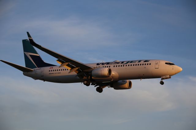 Boeing 737-800 (C-GWSX)